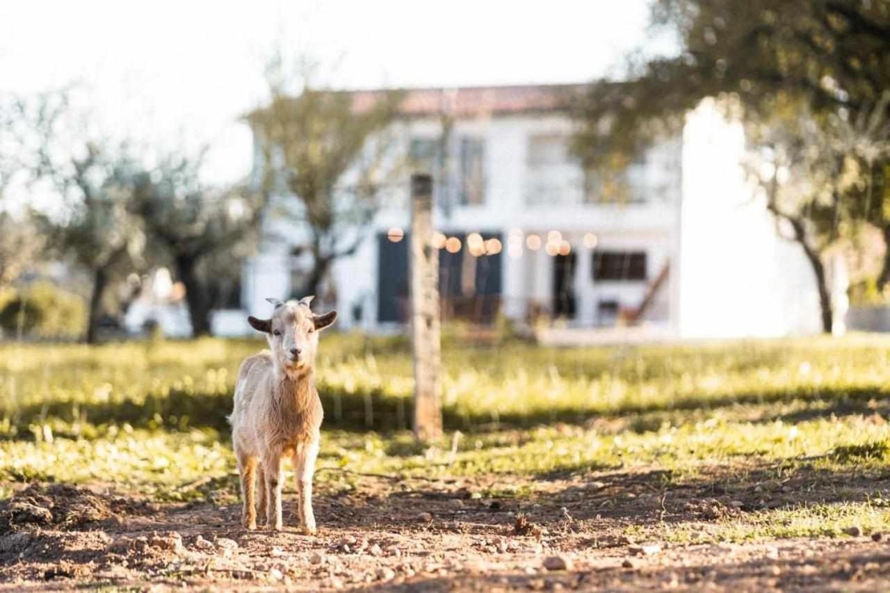Granja Da Cabrita 2*